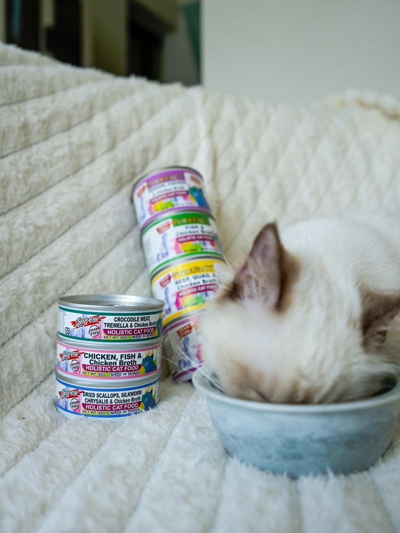 女人知己試用大隊,口碑行銷,部落客行銷,PURRFACT 波菲特貓用主食罐,主食罐,PURRFACT波菲特,貓主食罐,貓罐,PURRFACT波菲特貓用主食罐,魚肉蔓越莓主食罐,鮮嫩雞主食罐,鹿肉雞肉主食罐,牛肉鵪鶉貓主食罐,干貝蠶蛹配方,鱷魚肉白木耳配方,雞肉魚肉配方,安心鶉配方,評價,體驗,適口性佳,心得,成貓適用,高齡貓適用,質地是慕絲狀